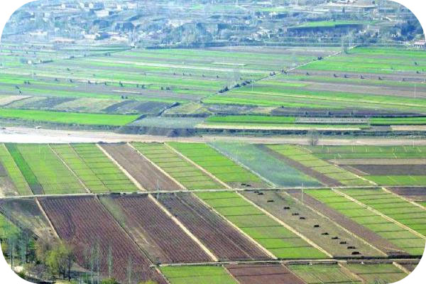 惠州市惠城區(qū)橫瀝鎮(zhèn)高標準農田建設項目